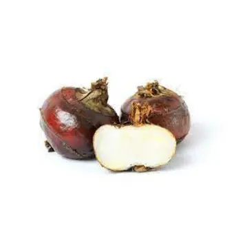 Natural Water Chestnuts